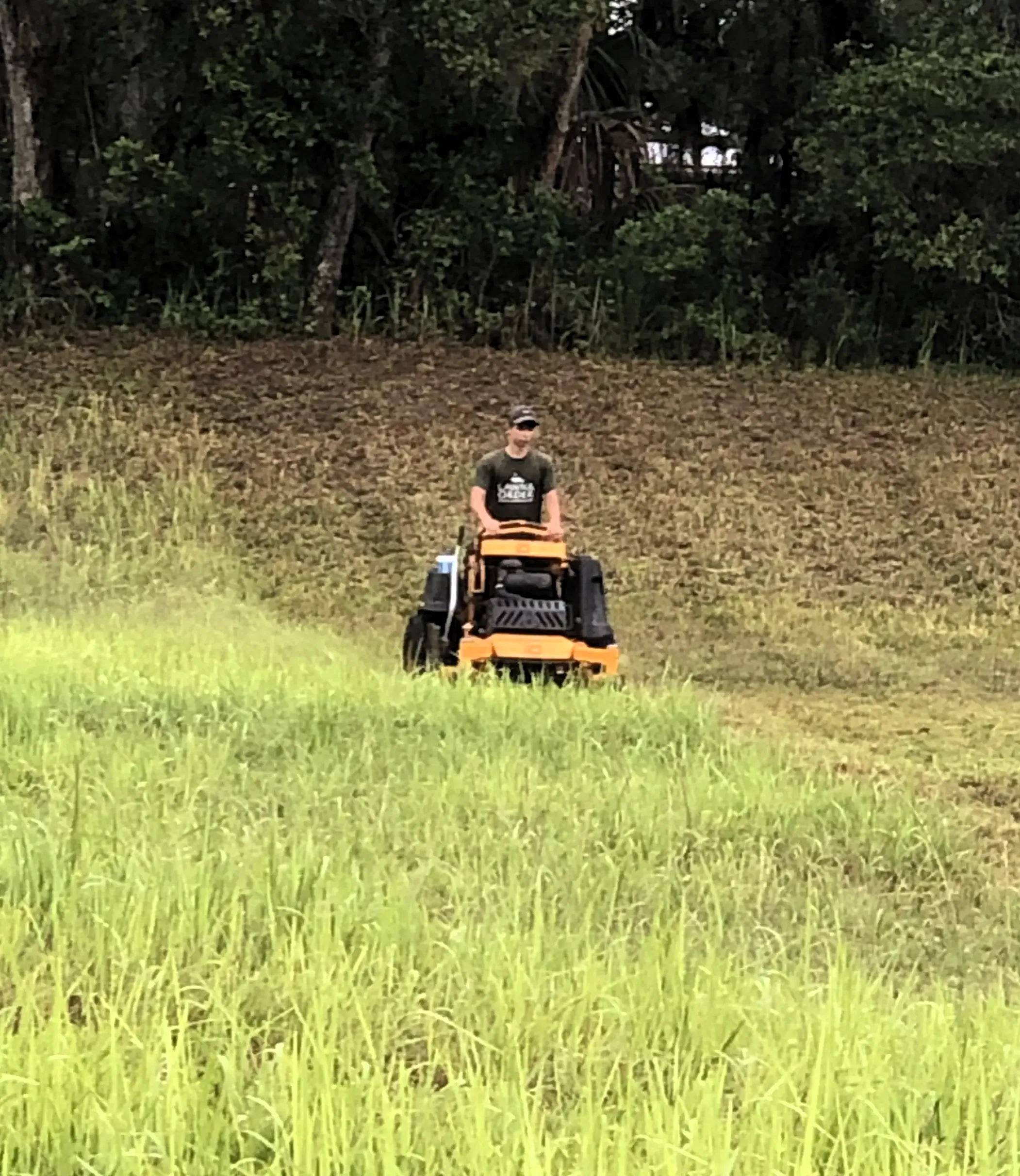 Lawn Care services in Lakeland, FL — Imagine Land Works