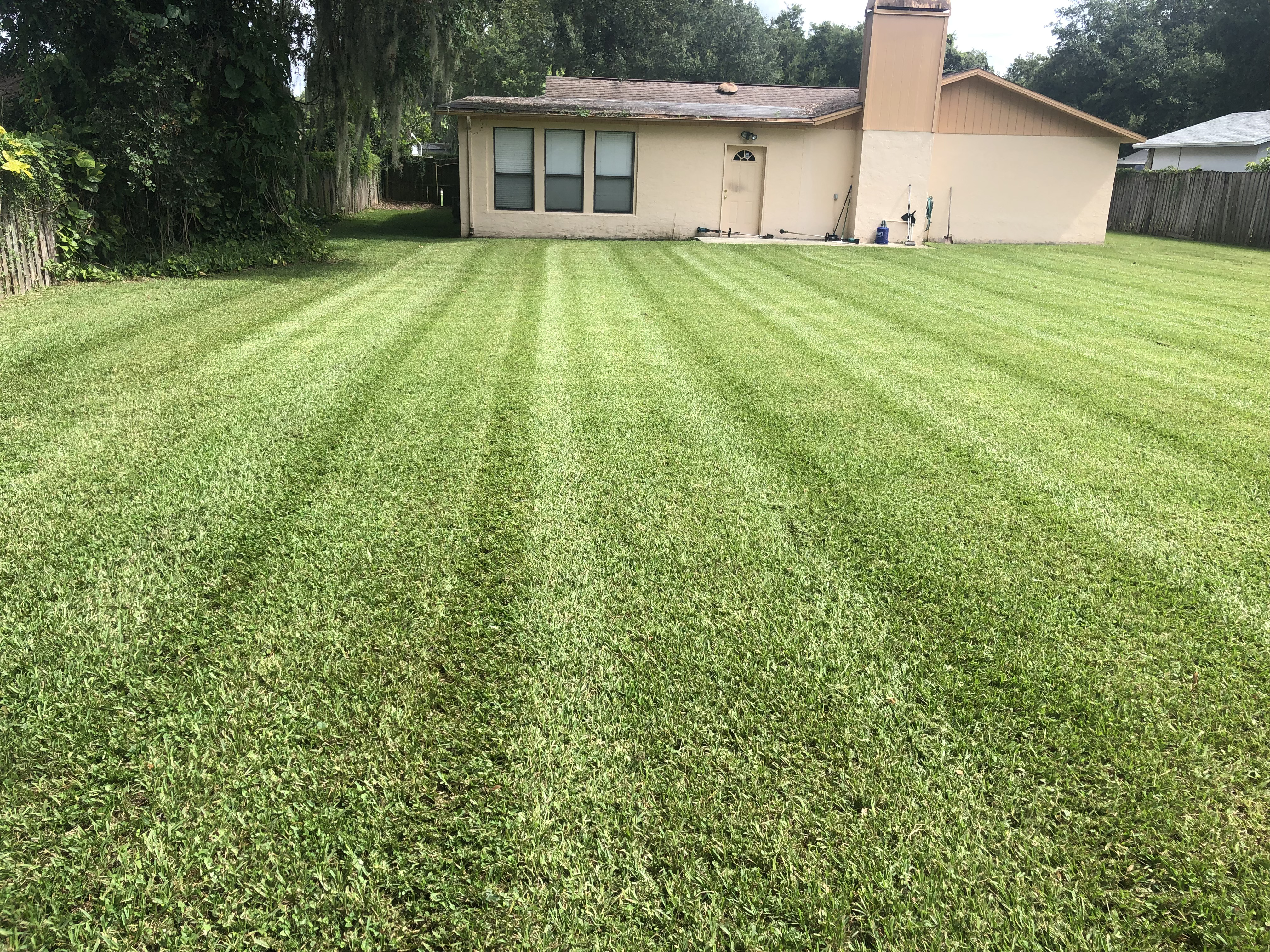 Freshly mowed backyard with clean mowing stripes in Lakeland, FL