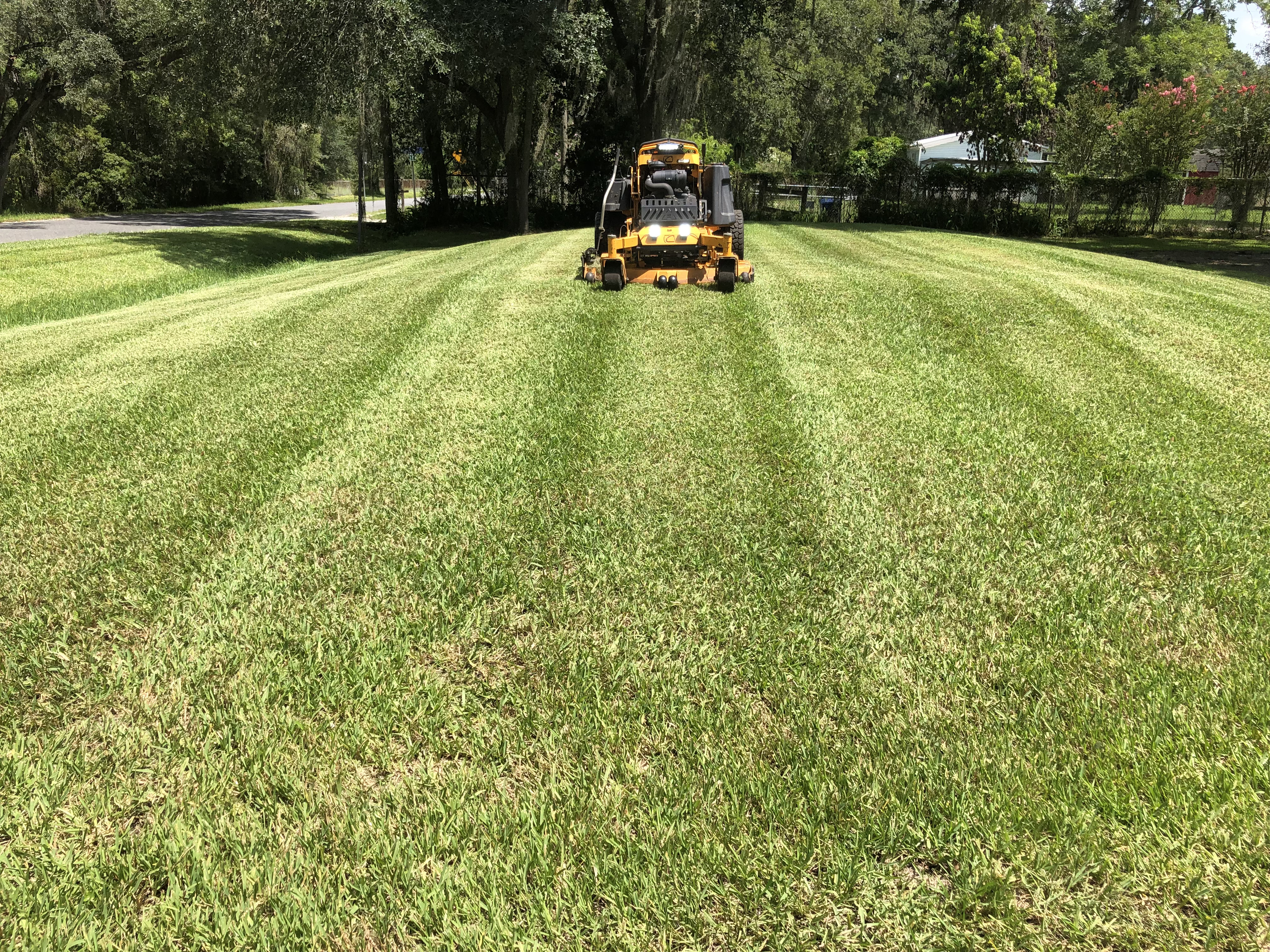 Stand-on mower cutting striped lawn along a tree-lined property